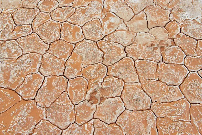 Framed Print : Salt flats at Grosbeak Lake- Patterns in cracked mud with salt deposits and ungulate track, Wood Buffalo National Park, Albert, Canada