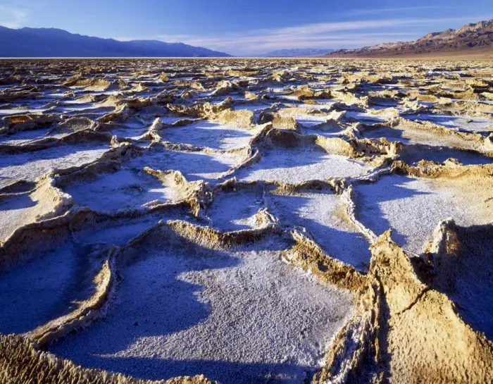 Framed Print : Salt Polygons, Bad Water, Death Valley National Park, California, USA Framed Print : Salt Polygons, Bad Water, Death Valley National Park, California, USA