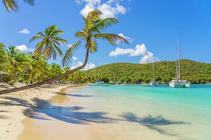 Framed Print : Salt Whistle bay Beach, Mayreau Island, in the Tobago cays in the Grenadines Islands, Saint Vincent and the Grenadines, Caribbean Framed Print : Salt Whistle bay Beach, Mayreau Island, in the Tobago cays in the Grenadines Islands, Saint Vincent and the Grenadines, Caribbean