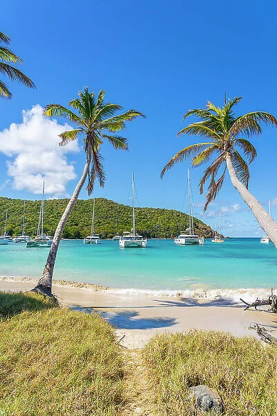Salt Whistle bay Beach, Mayreau Island, in the Tobago cays in the Grenadines Islands, Saint Vincent and the Grenadines, Caribbean