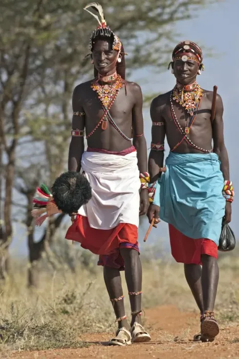 Framed Print : Two Samburu warrior of Northern Kenya in all their finery. The ostrich pompom on the spear was formerly a sign