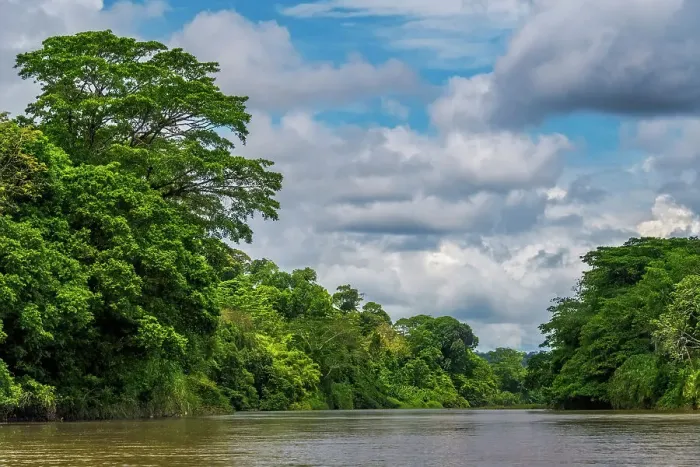 Framed Print : San Carlos River, Costa Rica Framed Print : San Carlos River, Costa Rica