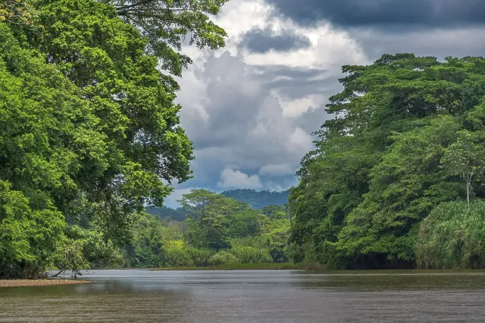 Framed Print : San Carlos River, Costa Rica Framed Print : San Carlos River, Costa Rica