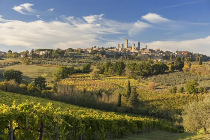Framed Print : San Gimignano surrounded by vines in the autumn, Tuscany, Italy Framed Print : San Gimignano surrounded by vines in the autumn, Tuscany, Italy