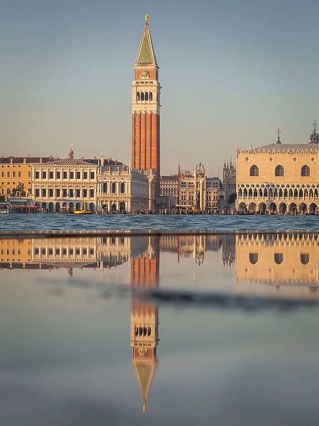 San Marco and its bell tower reflected in a puddle, Venice, Veneto, Italy