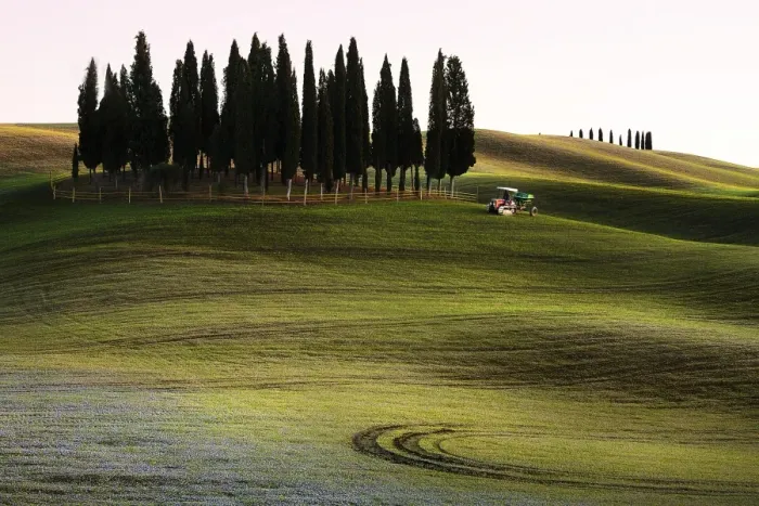 Framed Print : San Quirico d Orcia, Orcia Valley, Tuscany, Italy Framed Print : San Quirico d Orcia, Orcia Valley, Tuscany, Italy