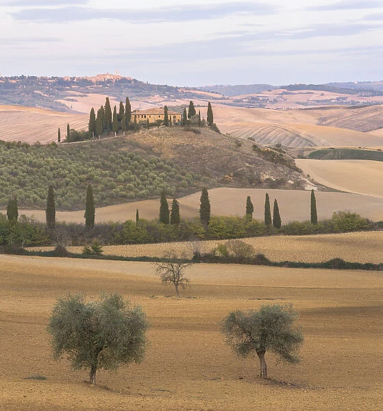 San Quirico d Orcia, Province of Siena, Orcia Valley, Tuscany, Italy, Europe