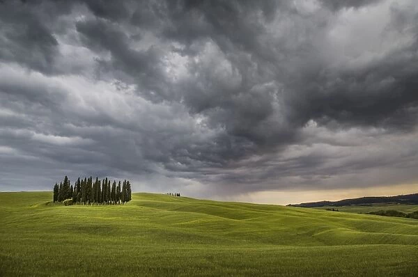 San Quirico d Orcia, Tuscany, Italy. Cypresses and stormy sky