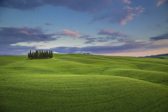 Framed Print : San Quirico d Orcia, Tuscany, Italy. Cypresses at sunset