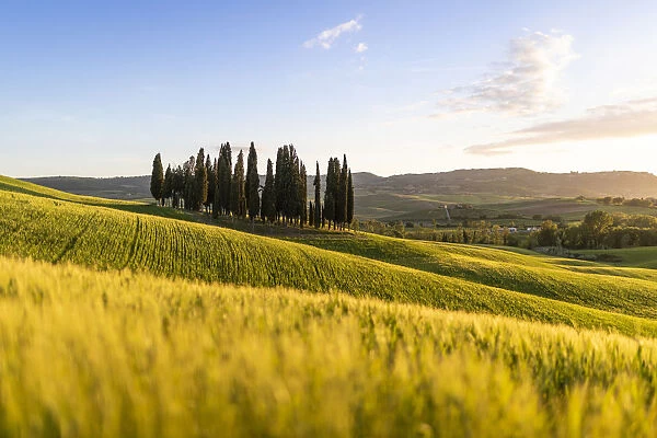 San Quirico d Orcia, Val d Orcia, Siena province, Tuscany, Italy