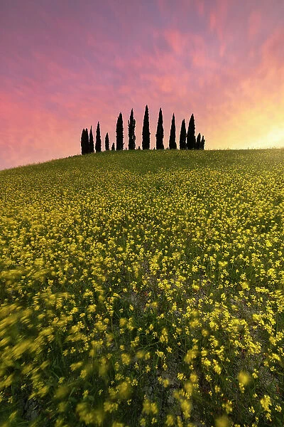 San Quirico d'Orcia during a spring sunset, San Quirico d'Orcia, Siena Province, Tuscany, Italy