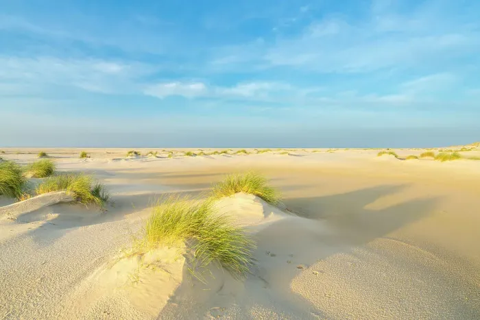 Framed Print : Sand dune landscape at sunrise, Wittdun, UNESCO, Amrum island, Nordfriesland, Schleswig-Holstein, Germany