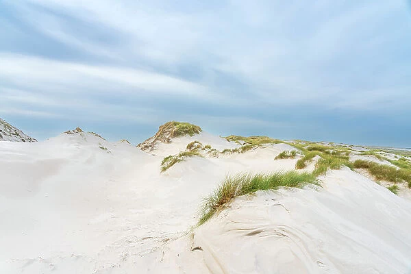 Sand dune landscape, Wittdun, UNESCO, Amrum island, Nordfriesland, Schleswig-Holstein, Germany