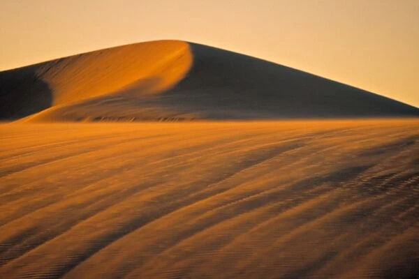 Sand Dune, Namib Desert