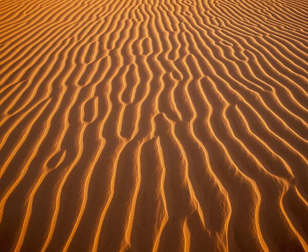 Sand Dune Patterns, Algondones Dunes Wilderness, California, USA