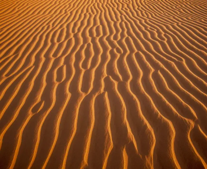 Framed Print : Sand Dune Patterns, Algondones Dunes Wilderness, California, USA Framed Print : Sand Dune Patterns, Algondones Dunes Wilderness, California, USA