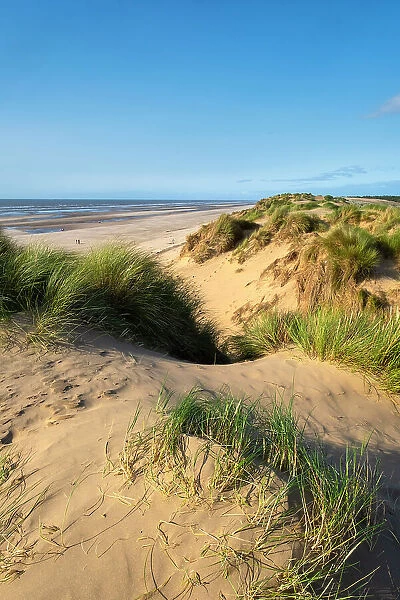 Sand dunes on the beach at Formby, Mersyside, England, UK