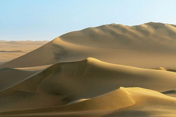 Sand dunes in desert near Huacachina oasis at sunset, Ica District, Ica Province, Ica Region, Peru