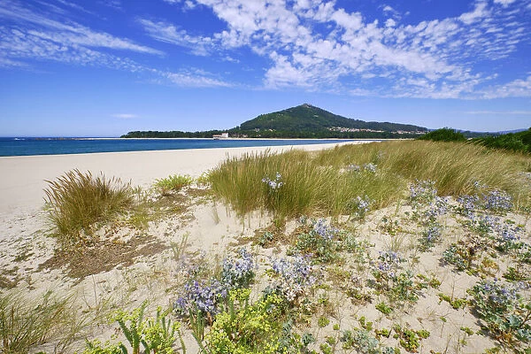 Sand dunes with its endemic flora and the beach of Caminha at the mouth of the River