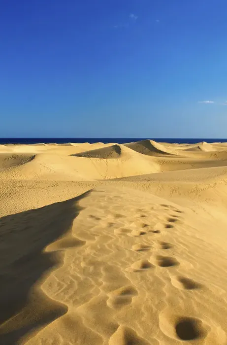 Framed Print : Sand dunes of Maspalomas, Gran Canaria, Canary Islands, Spain Framed Print : Sand dunes of Maspalomas, Gran Canaria, Canary Islands, Spain