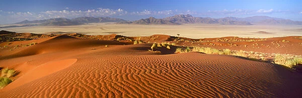 Sand Dunes, Namib Rand, Namibia, Africa