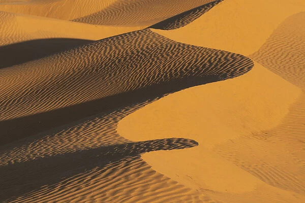Sand dunes, Sahara desert, Tunisia, Northern Africa