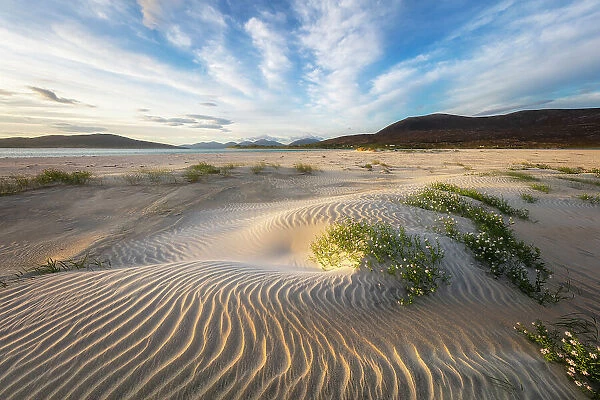 Sand dunes on Seilebost beach looking towards Luskentyre, Isle of Harris, Outer Hebrides, Scotland