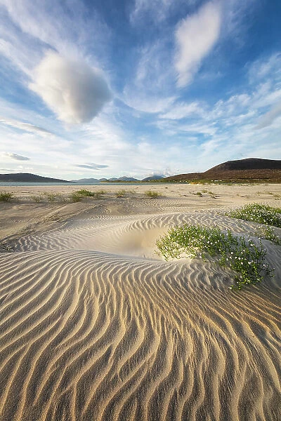 Sand dunes on Seilebost beach looking towards Luskentyre, Isle of Harris, Outer Hebrides, Scotland