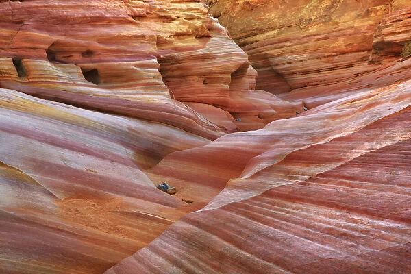 Sand stone structures in brook in Valley of Fire - USA, Nevada, Clark, Valley Of Fire