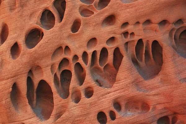 Sand stone structures in Valley of Fire - USA, Nevada, Clark