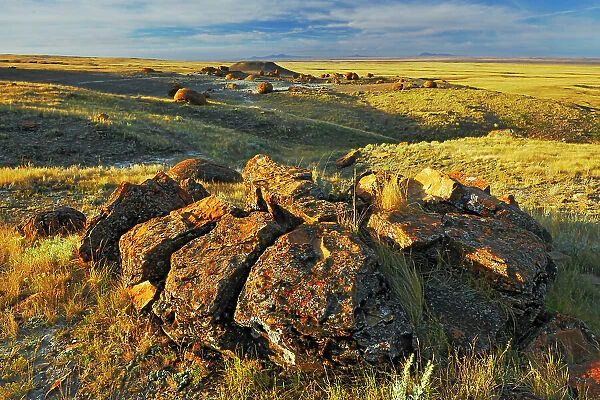 Sandstone concretions on the Canadian prairie, Alberta, Canada