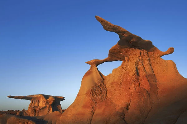 Sandstone erosion landscape in Bisti Badlands - USA, New Mexico, San Juan