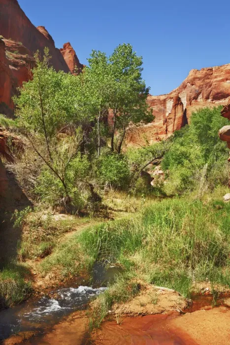 Framed Print : Sandstone erosion landscape im Coyote Gulch - USA, Utah, Kane, Escalante Canyons Framed Print : Sandstone erosion landscape im Coyote Gulch - USA, Utah, Kane, Escalante Canyons