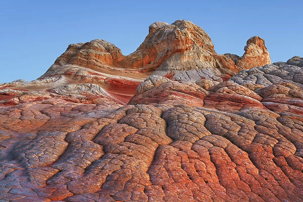 Sandstone erosion landscape in White Pocket - USA, Arizona, Coconino, Vermillion Cliffs