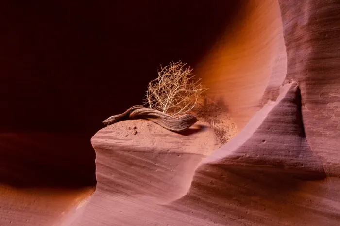Framed Print : Sandstone formation at Canyon X, Slot Canyon, Page, Arizona, USA, North America Framed Print : Sandstone formation at Canyon X, Slot Canyon, Page, Arizona, USA, North America