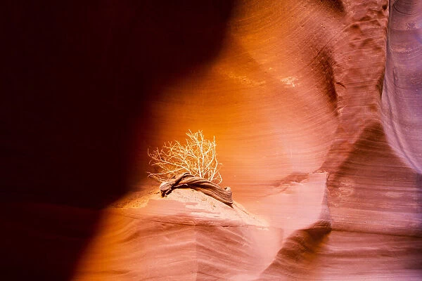 Sandstone formation at Canyon X, Slot Canyon, Page, Arizona, USA, North America