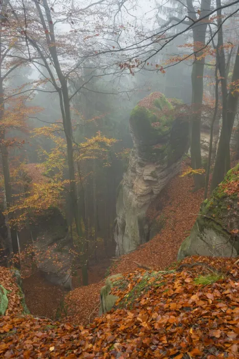 Framed Print : Sandstone rock formations rising from a gorge inside a forest in autumn, Hruba Skala