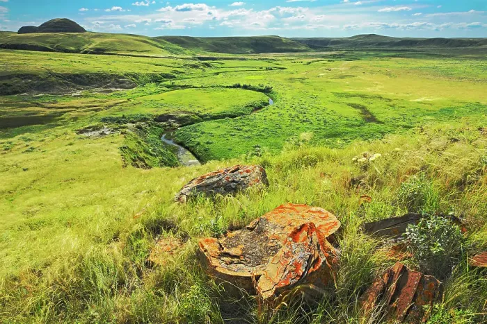 Framed Print : Sandstone rocks on prairie in the Killdeer Badlands. East Block. Grasslands National Park Saskatchewan, Canada Framed Print : Sandstone rocks on prairie in the Killdeer Badlands. East Block. Grasslands National Park Saskatchewan, Canada