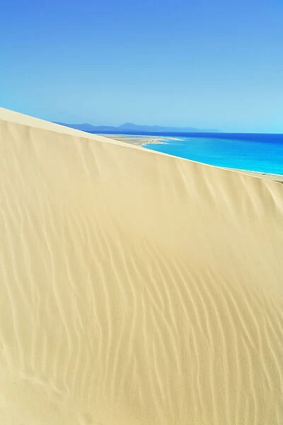 Sandy dunes at Sotavento Beach, Jandia Peninsula, Fuerteventura, Canary Islands, Spain