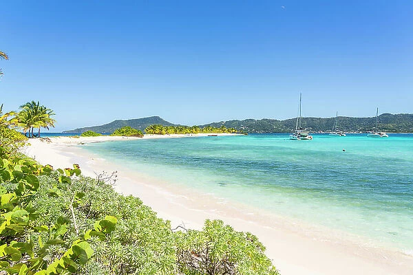 Sandy Island, Carriacou, Greneda, Caribbean