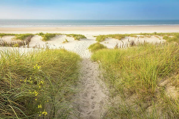 Sandy path in the dunes to the north beach of Norderney, East Frisian Islands, East Frisia, Lower Saxony, Germany