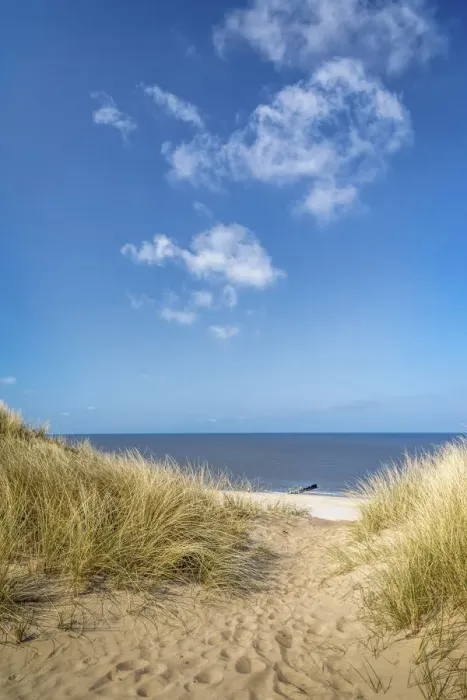 Framed Print : Sandy path to the west beach through the dunes near List, Sylt, Schleswig-Holstein Framed Print : Sandy path to the west beach through the dunes near List, Sylt, Schleswig-Holstein
