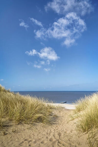 Sandy path to the west beach through the dunes near List, Sylt, Schleswig-Holstein