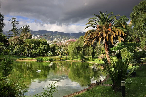 Santa Catarina gardens. Funchal, Madeira. Portugal