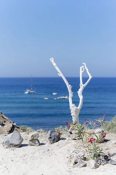 Santorini, Cyclades Islands, Greece. Minimal white wooden tree against blue sea and sky