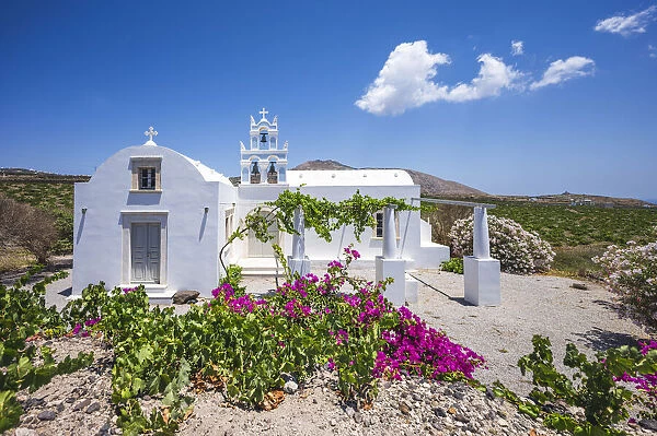 Santorini, Cyclades Islands, Greece. White church surrounded by green vineyards