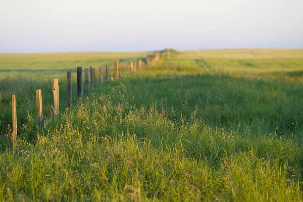 Saskatchewan, Canada. A fence on the Canadian Prairie