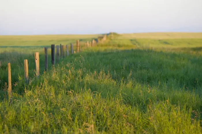 Framed Print : Saskatchewan, Canada. A fence on the Canadian Prairie Framed Print : Saskatchewan, Canada. A fence on the Canadian Prairie