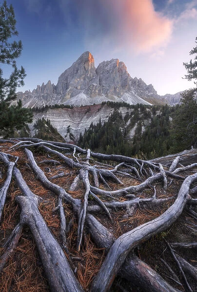 The Sass de Putia takes the last light of the day during an autumn sunset. Passo delle Erbe, Dolomites, Italy
