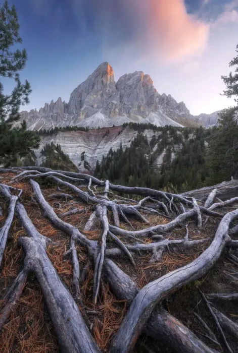 Framed Print : The Sass de Putia takes the last light of the day during an autumn sunset. Passo delle Erbe, Dolomites, Italy Framed Print : The Sass de Putia takes the last light of the day during an autumn sunset. Passo delle Erbe, Dolomites, Italy